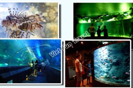 Tour Du Lịch Hà Nội - Đảo Phú Quốc - Vinpearl Land 3 Ngày 2 Đêm
